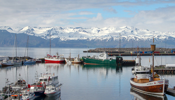distribuidor de bacalao de islandia en gipuzkoa
