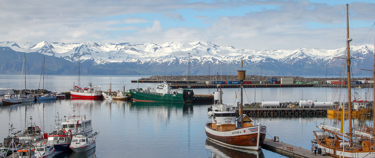 distribuidor de bacalao de islandia en gipuzkoa